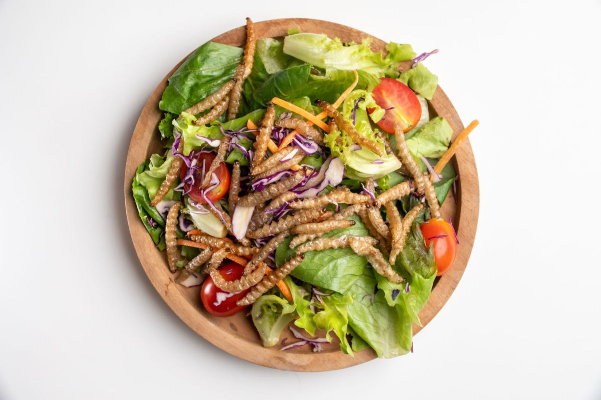 Comment prévenir les parasites de garde-manger